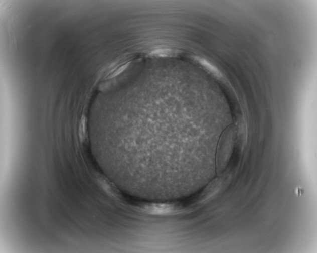 X0000086050361200704091214