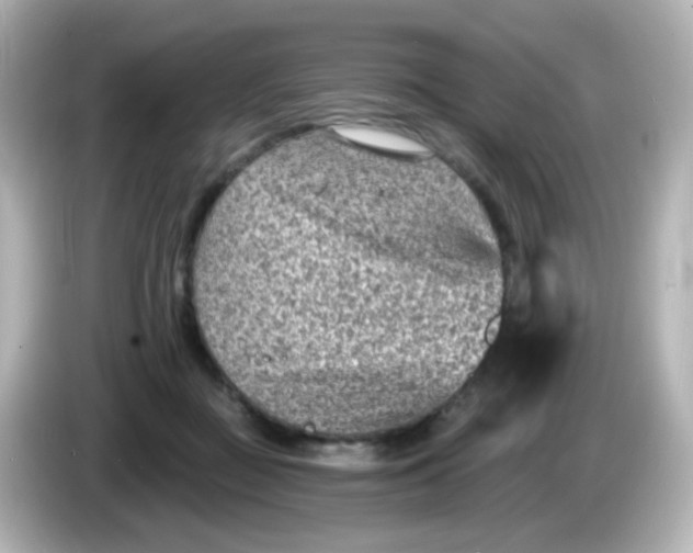 X0000086050363200704091214