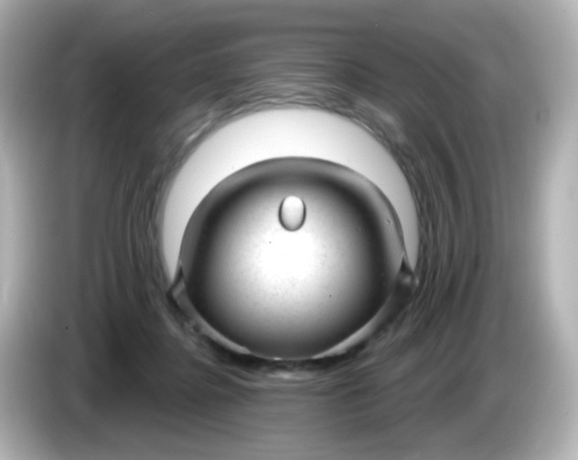 X0000086050364200704091214