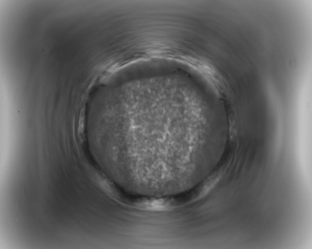 X0000086050365200704091214