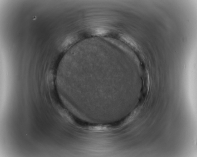 X0000086050366200704091214