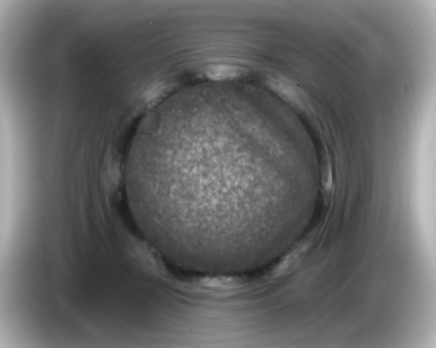 X0000086050367200704091214