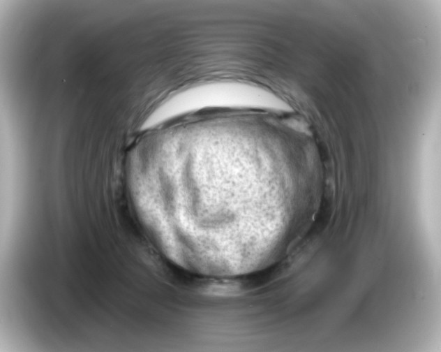 X0000086050369200704091214
