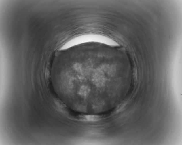 X0000086050371200704091214