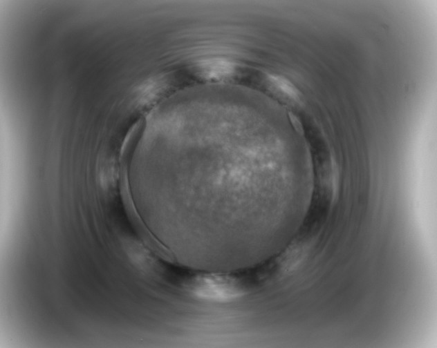 X0000086050372200704091214