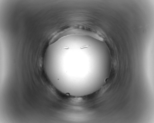 X0000086050374200704091214