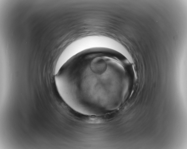 X0000086050376200704091214