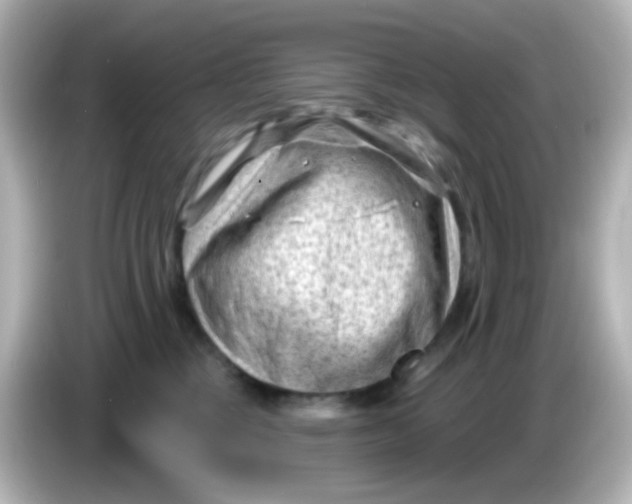 X0000086050377200704091214