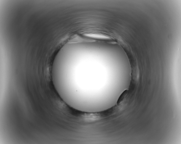 X0000086050378200704091214