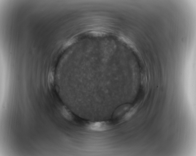 X0000086050382200704091214