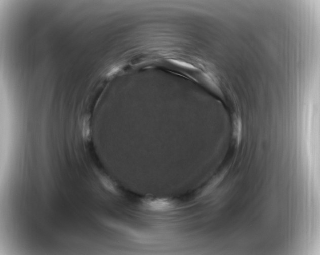 X0000086050383200704091214