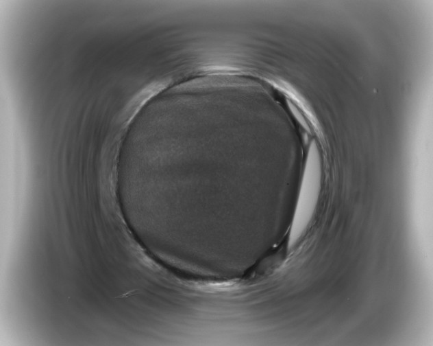 X0000086050385200704091213