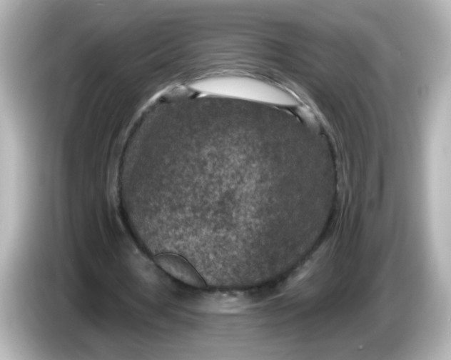 X0000086050386200704091213
