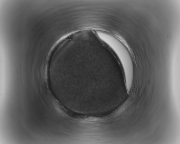 X0000086050387200704091213