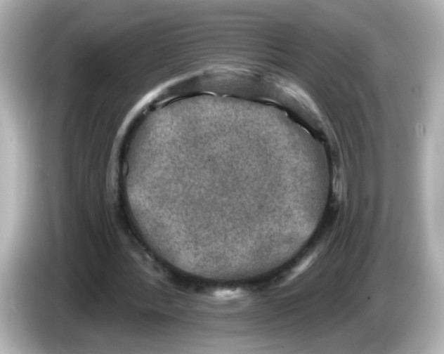 X0000086050388200704091213