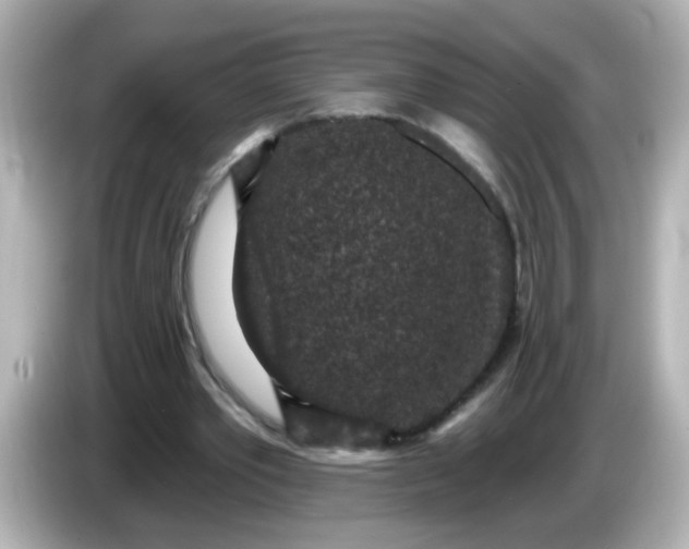 X0000086050389200704091213