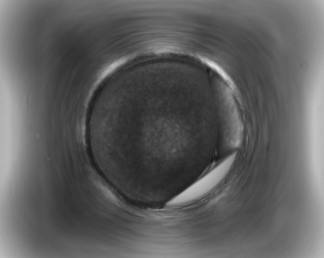X0000086050391200704091213