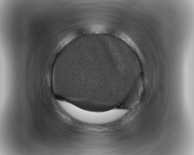 X0000086050393200704091213
