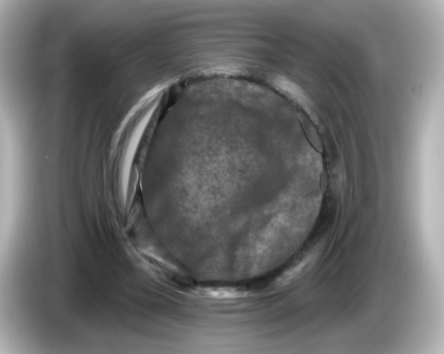 X0000086050395200704091213