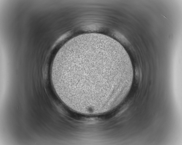 X0000086050396200704091213