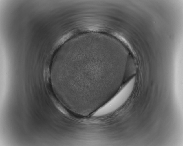 X0000086050397200704091213