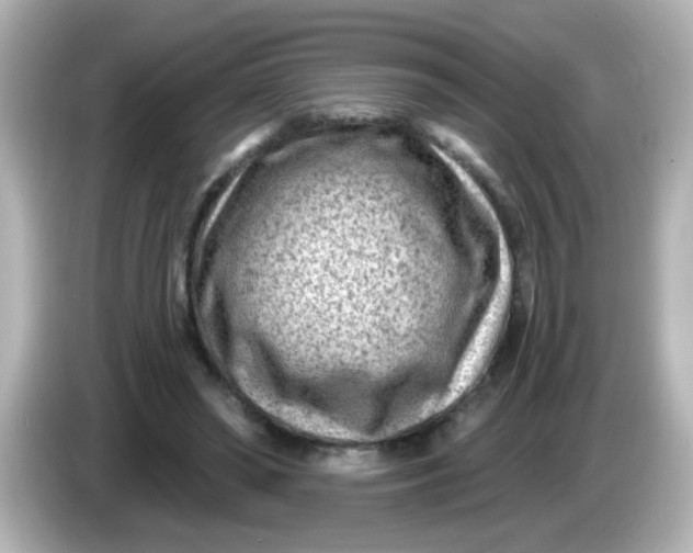 X0000086050398200704091213