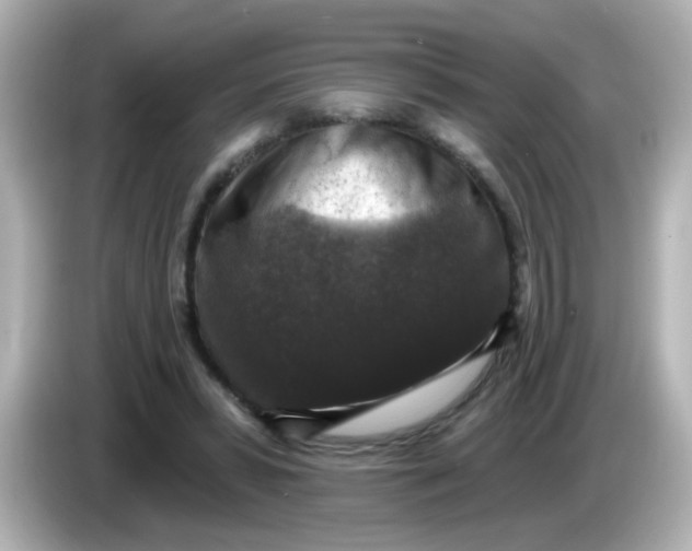 X0000086050399200704091213