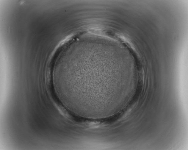 X0000086050400200704091213