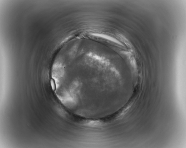 X0000086050401200704091213