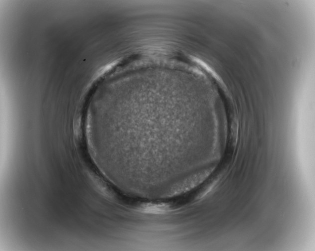 X0000086050403200704091213