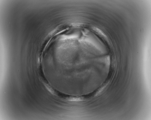 X0000086050405200704091213