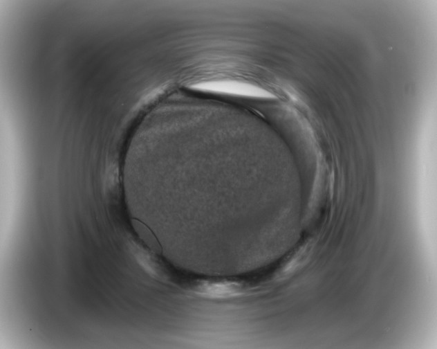 X0000086050407200704091213