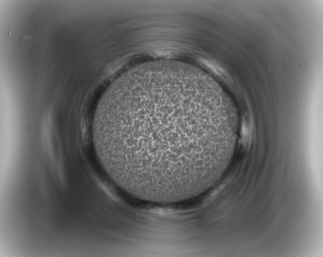 X0000086050408200704091213