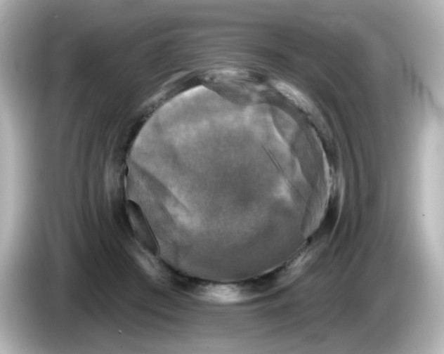 X0000086050409200704091213