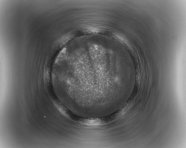 X0000086050410200704091213