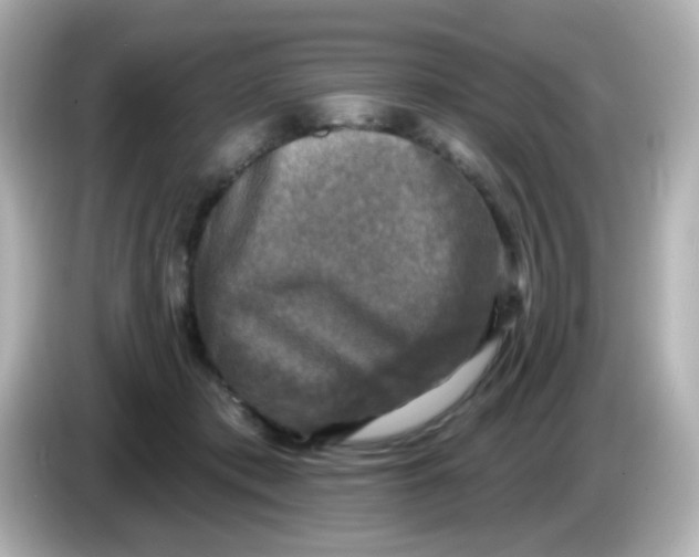 X0000086050413200704091213