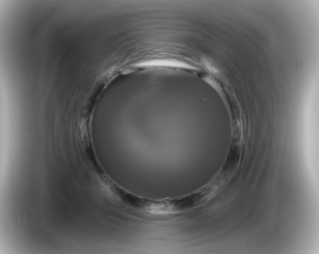 X0000086050415200704091213