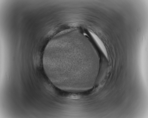 X0000086050416200704091213