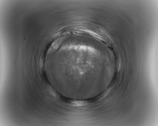 X0000086050417200704091213
