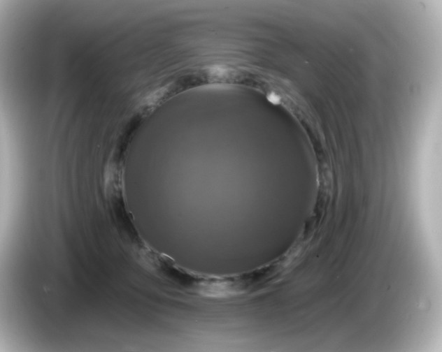 X0000086050419200704091213