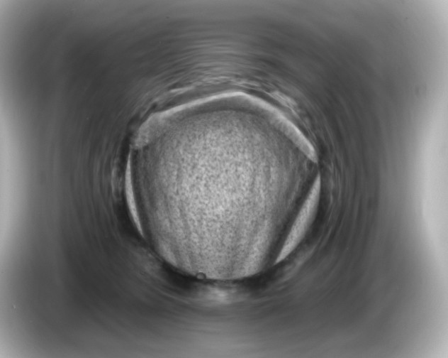 X0000086050420200704091213