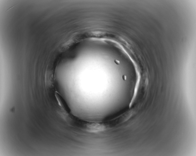 X0000086050421200704091213