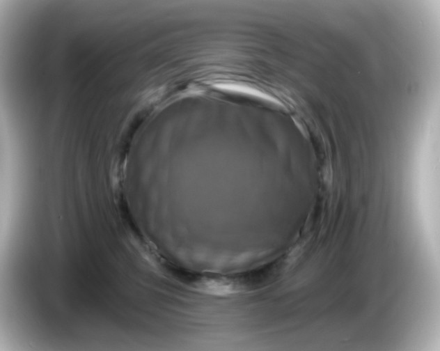 X0000086050423200704091213