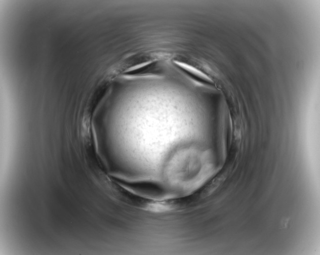 X0000086050425200704091213
