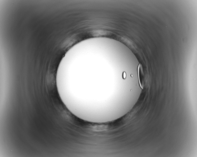 X0000086050426200704091213