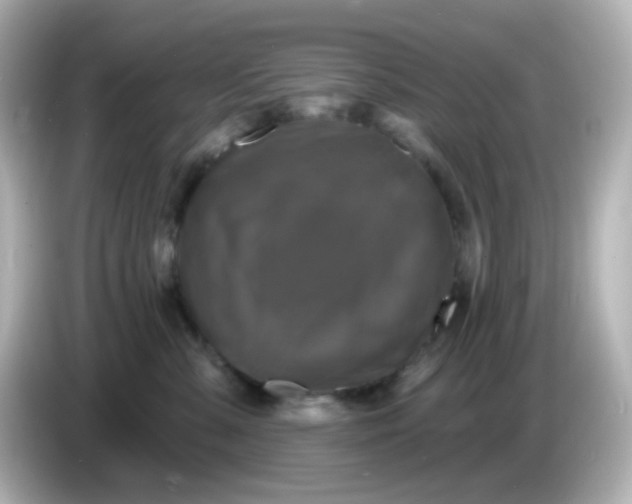 X0000086050427200704091213