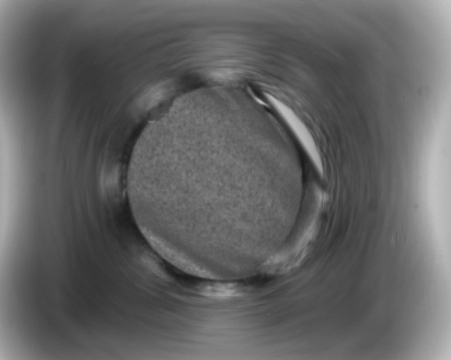 X0000086050428200704091213
