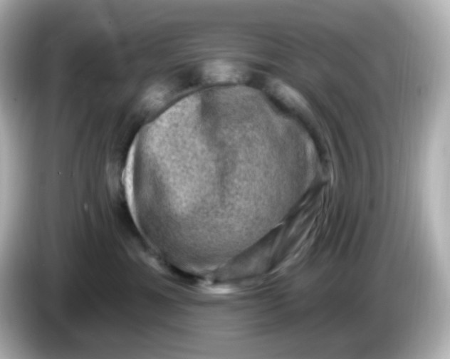 X0000086050429200704091213