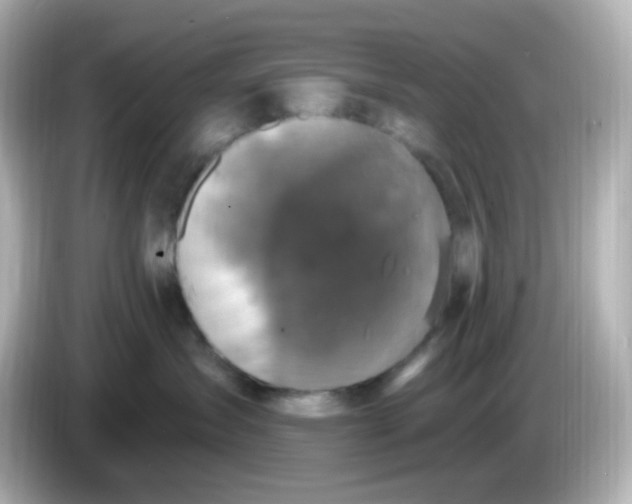 X0000086050431200704091213