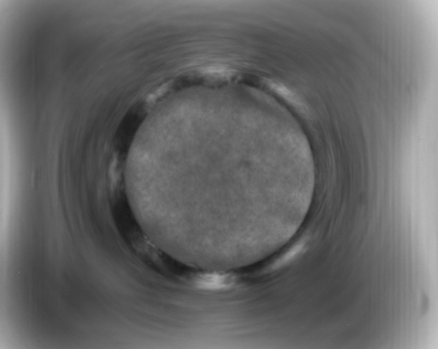 X0000086050432200704091213
